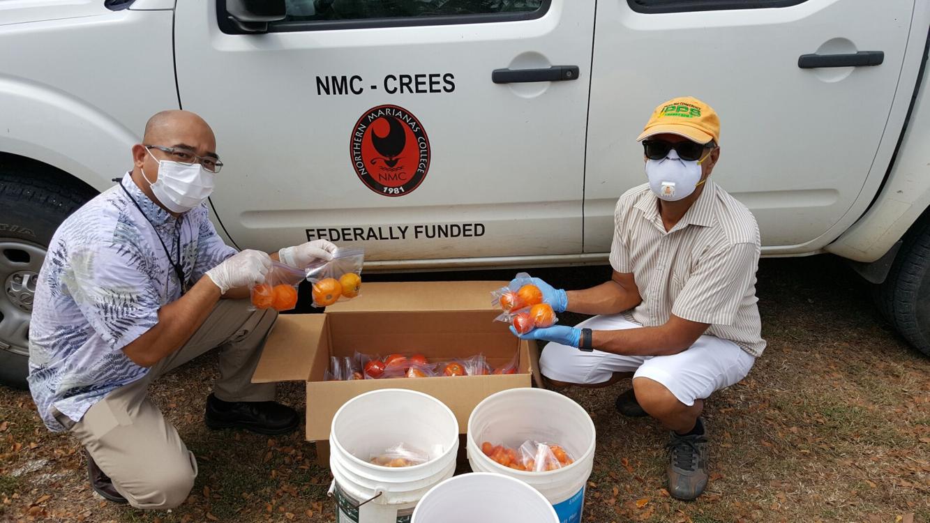 NAP program receives over 100 pounds of tomatoes from NMC-CREES