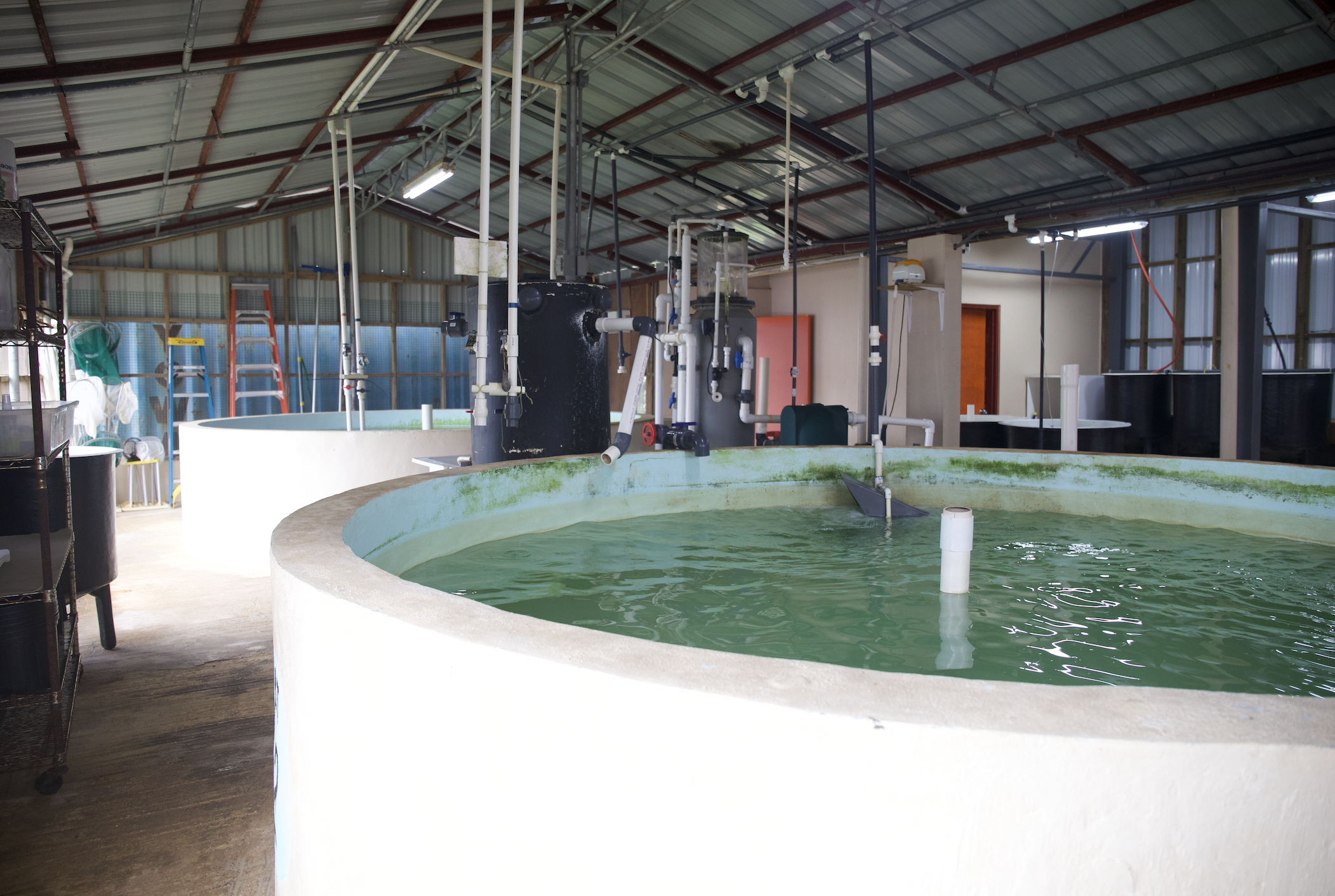 NMC CREES awarded $200K to be aquaculture regional training hub