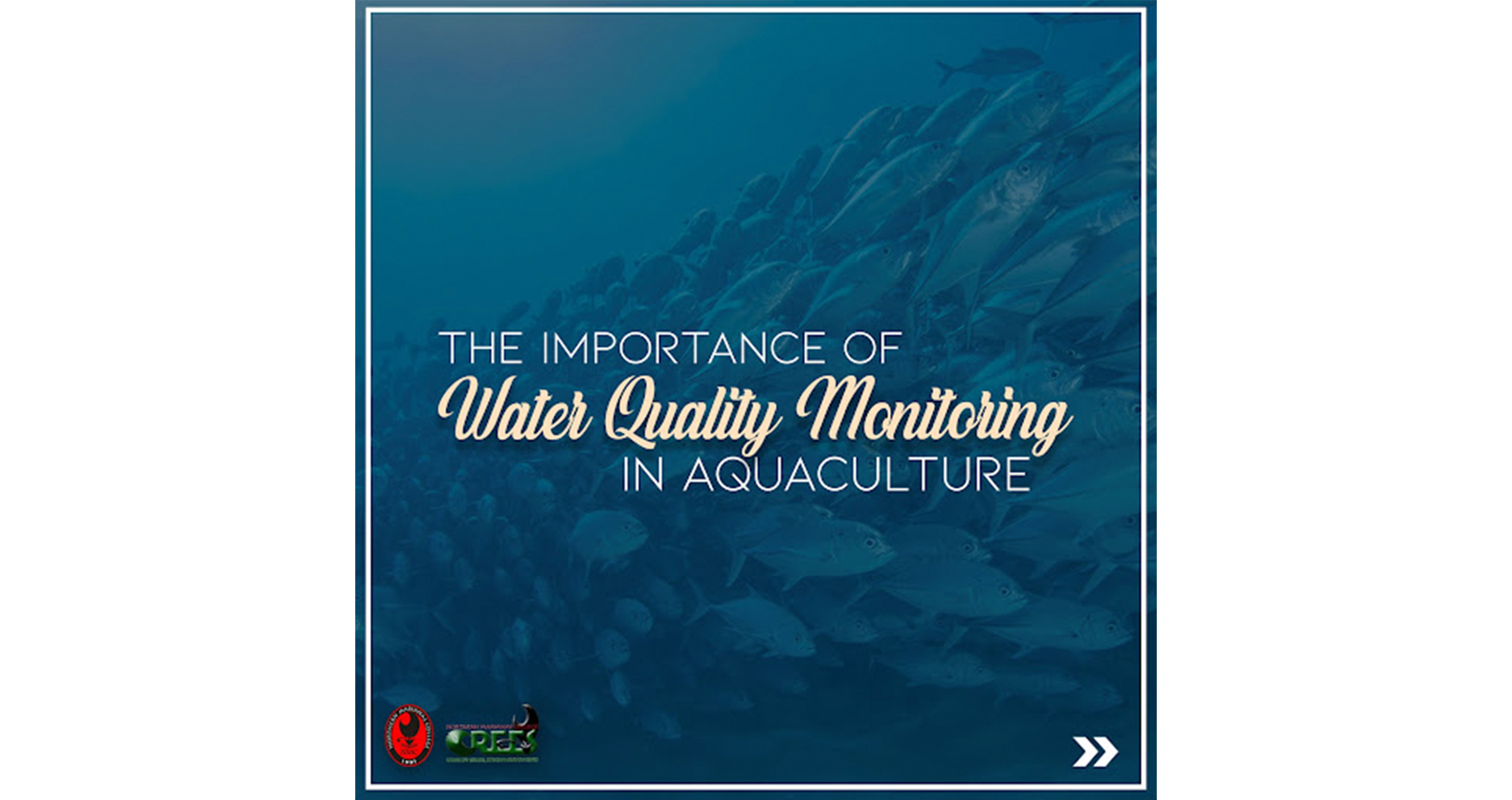 The Importance of Water Quality Monitoring in Aquaculture