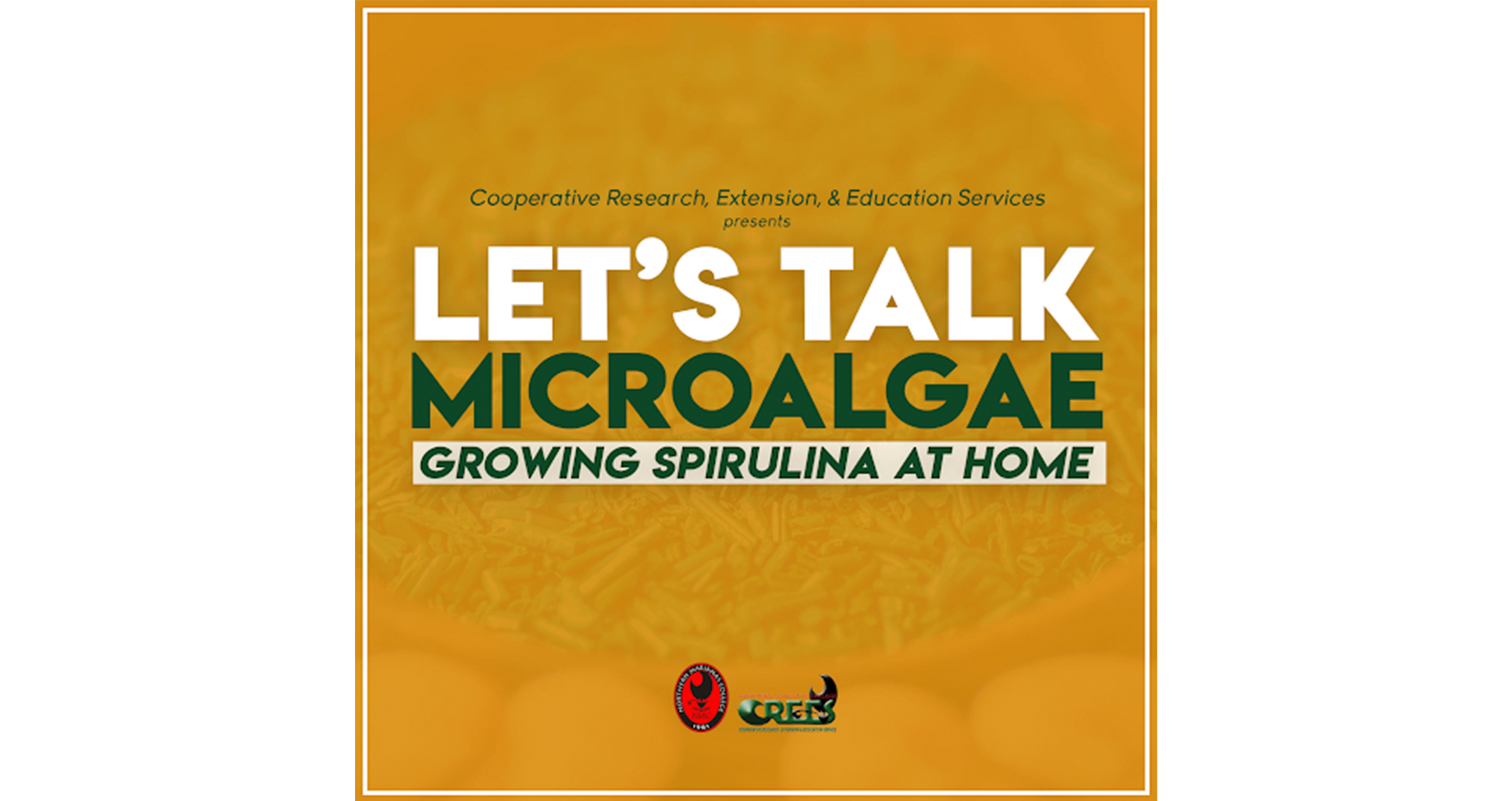 Let’s Talk Microalgae: Growing Spirulina at Home