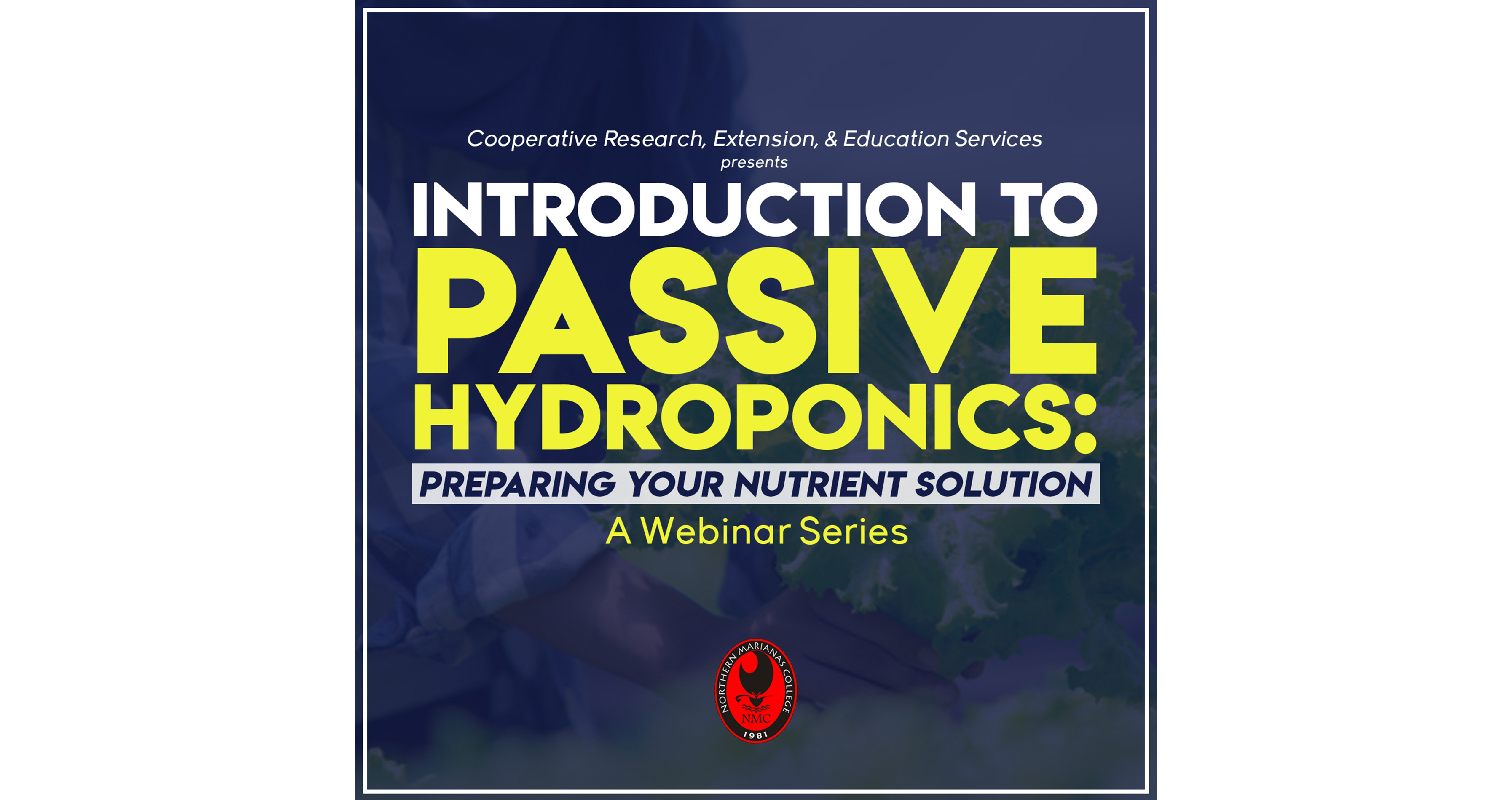 Introduction to Passive Hydroponics