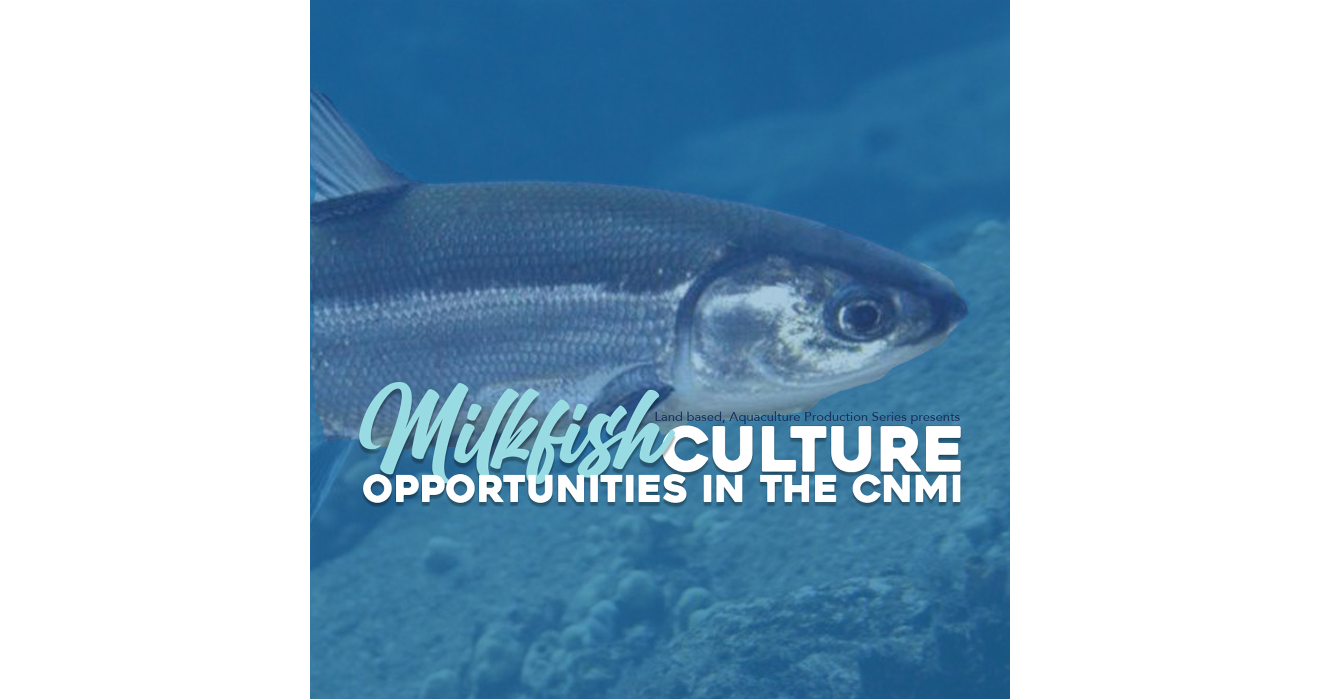 Milkfish Culture Opportunities in the CNMI