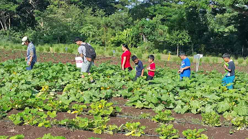 GMS students take tour of NMC-CREES agric center